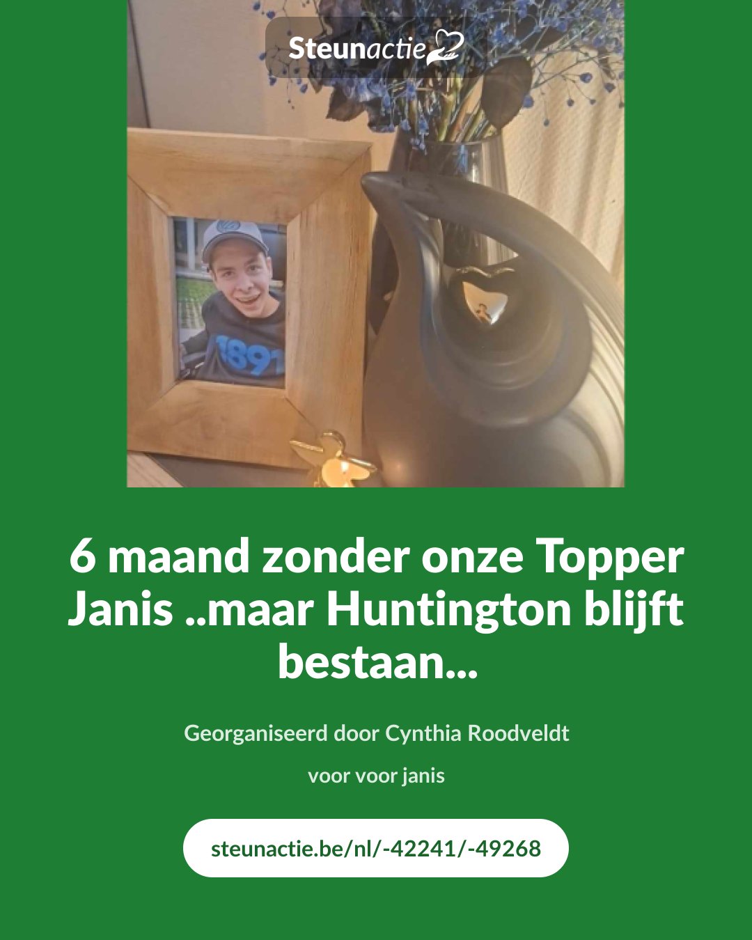 Voorbeeld van de afbeelding