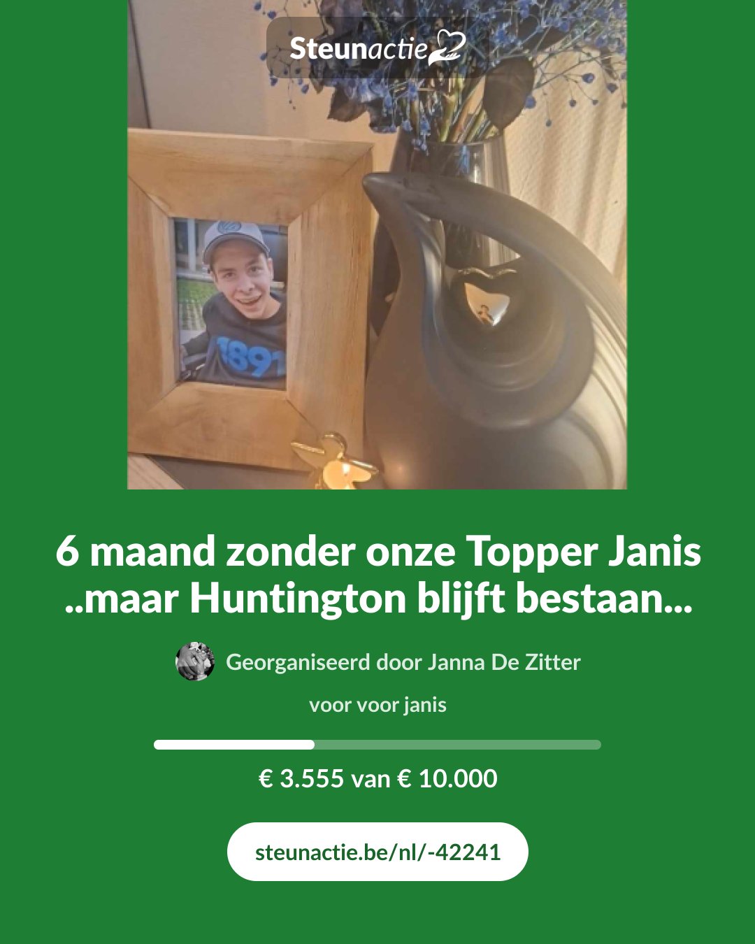 Voorbeeld van de afbeelding