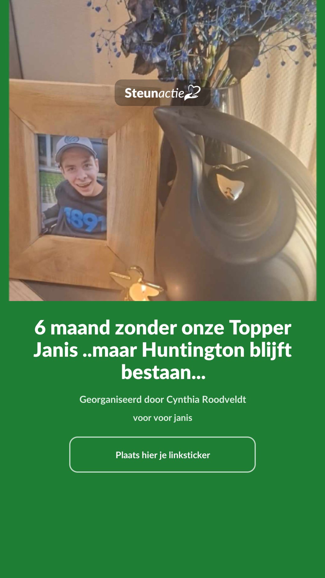 Voorbeeld van de afbeelding