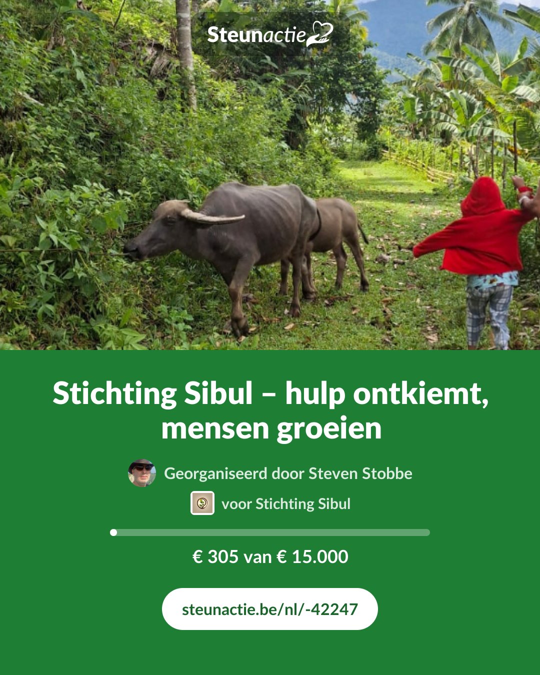 Voorbeeld van de afbeelding