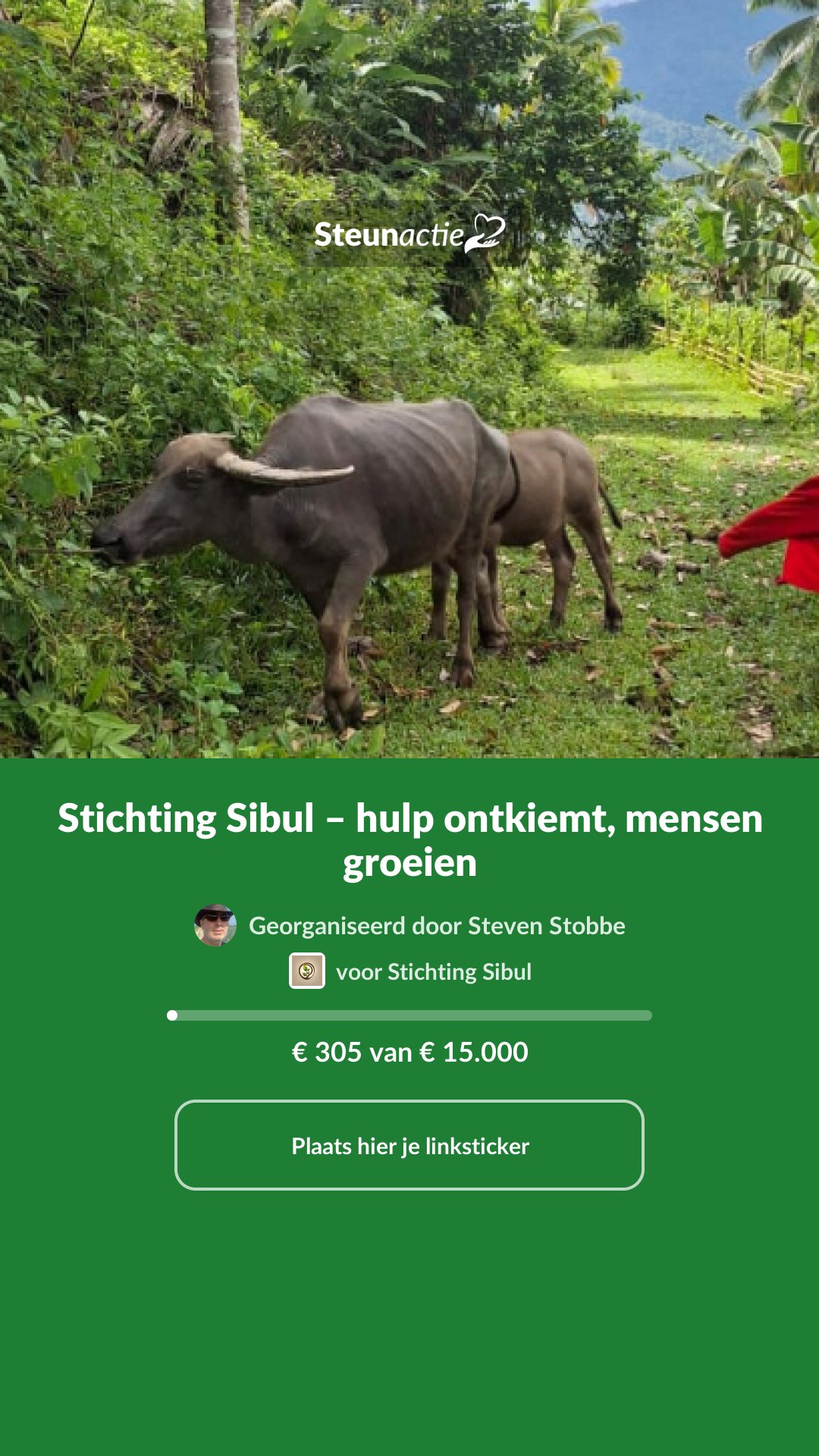 Voorbeeld van de afbeelding