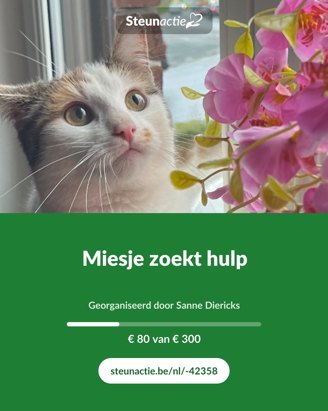Voorbeeld van de afbeelding