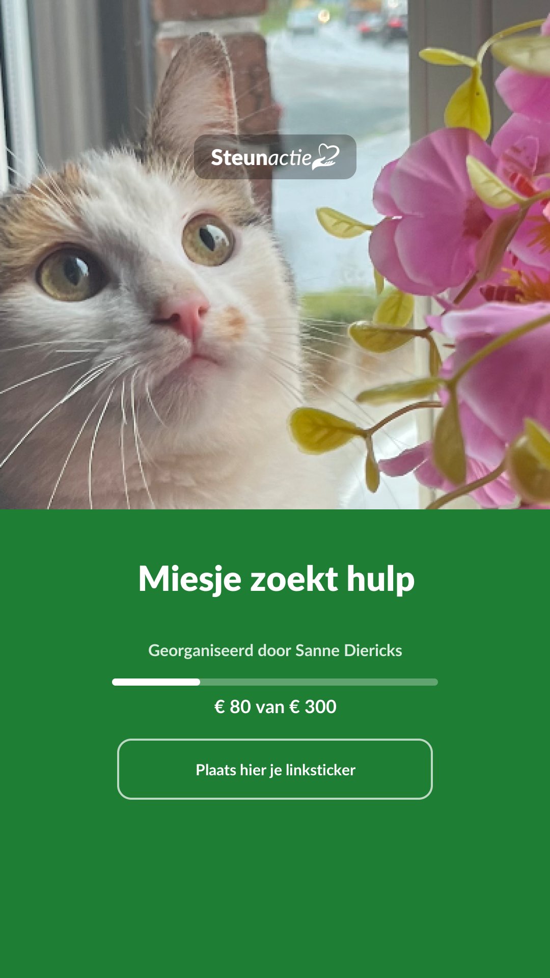 Voorbeeld van de afbeelding