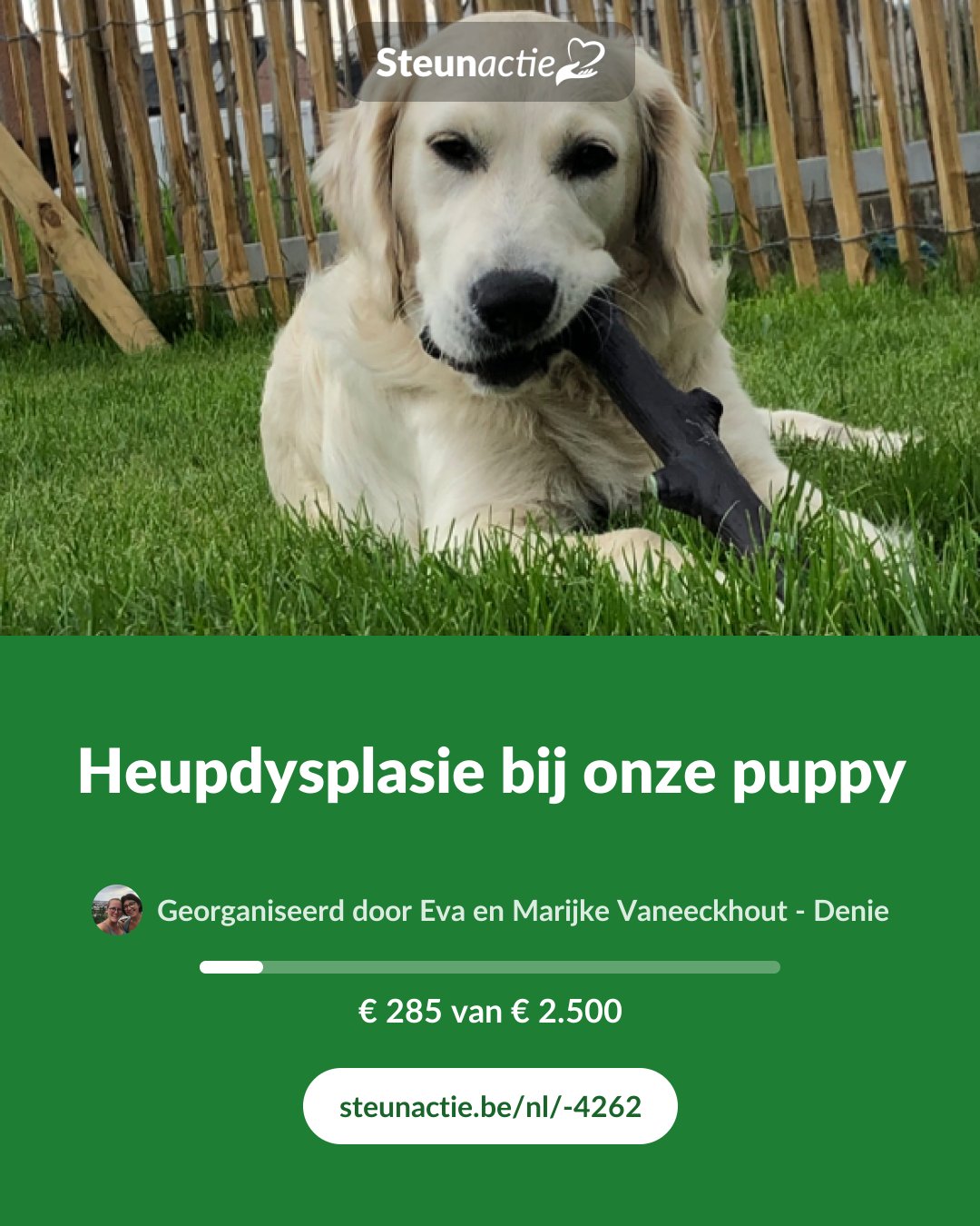 Voorbeeld van de afbeelding