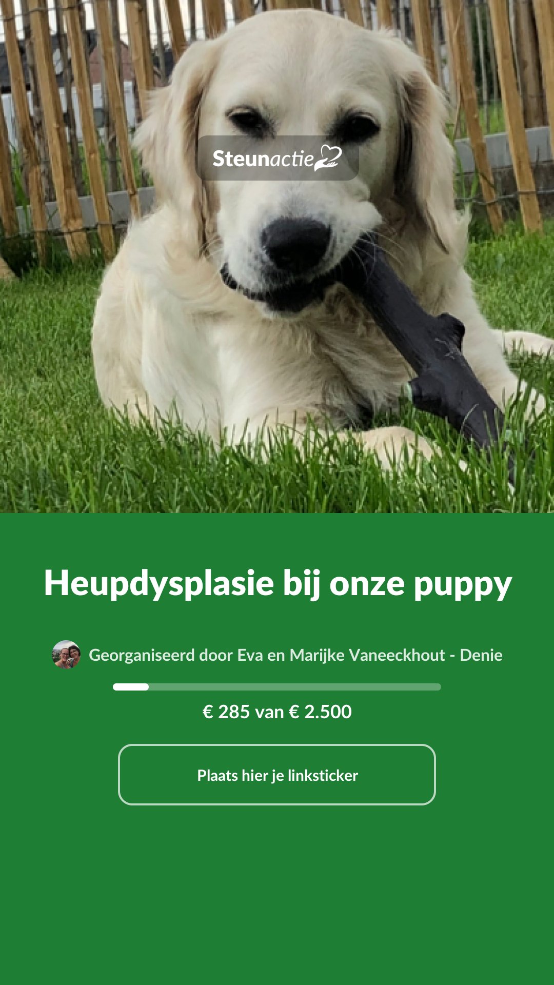 Voorbeeld van de afbeelding