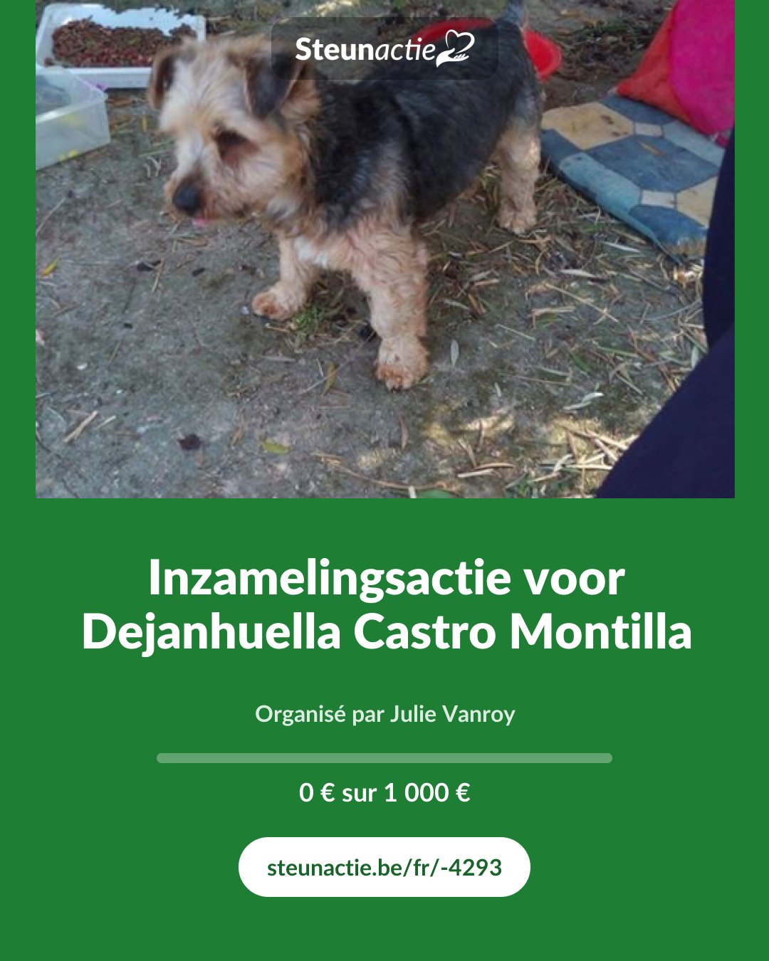 Aperçu de l'image