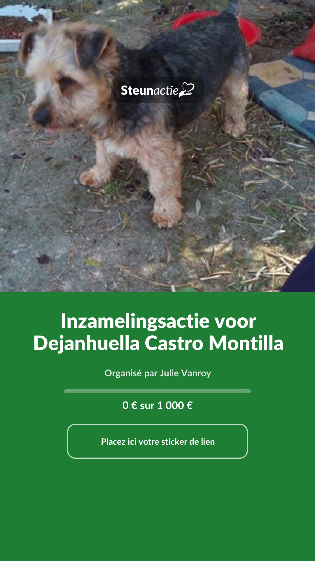 Aperçu de l'image
