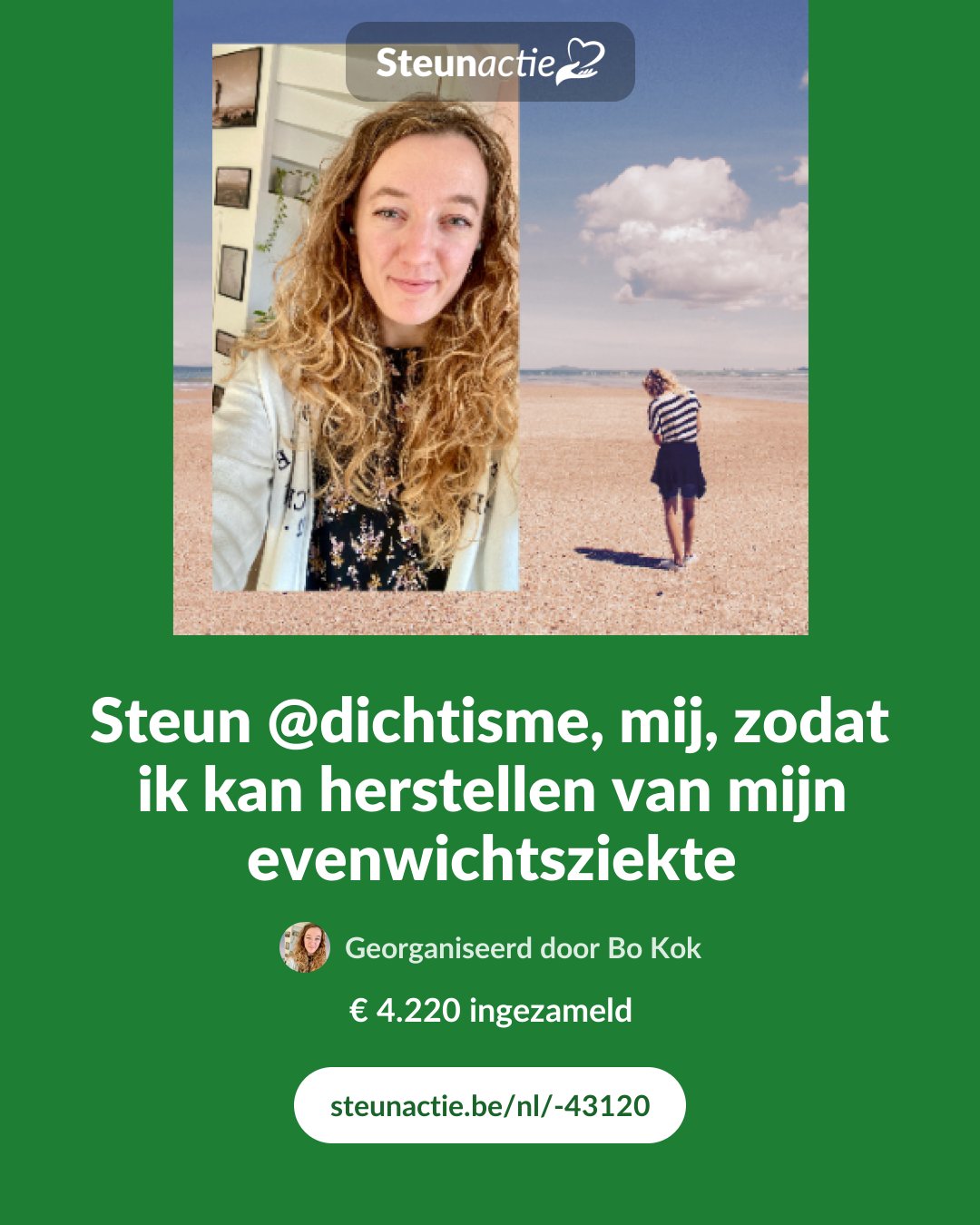 Voorbeeld van de afbeelding