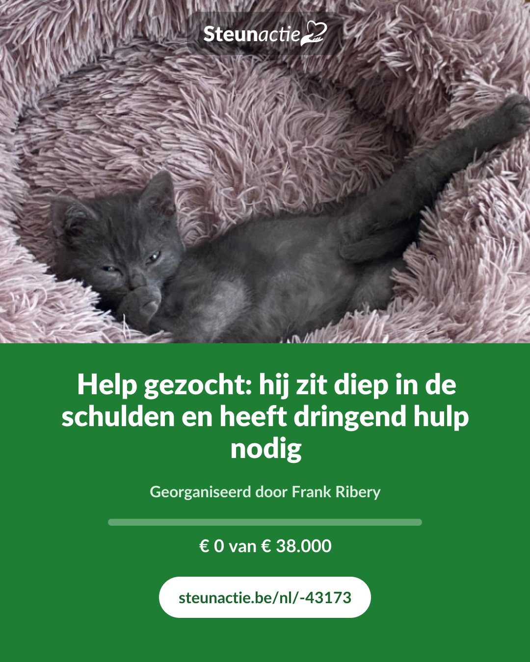 Voorbeeld van de afbeelding