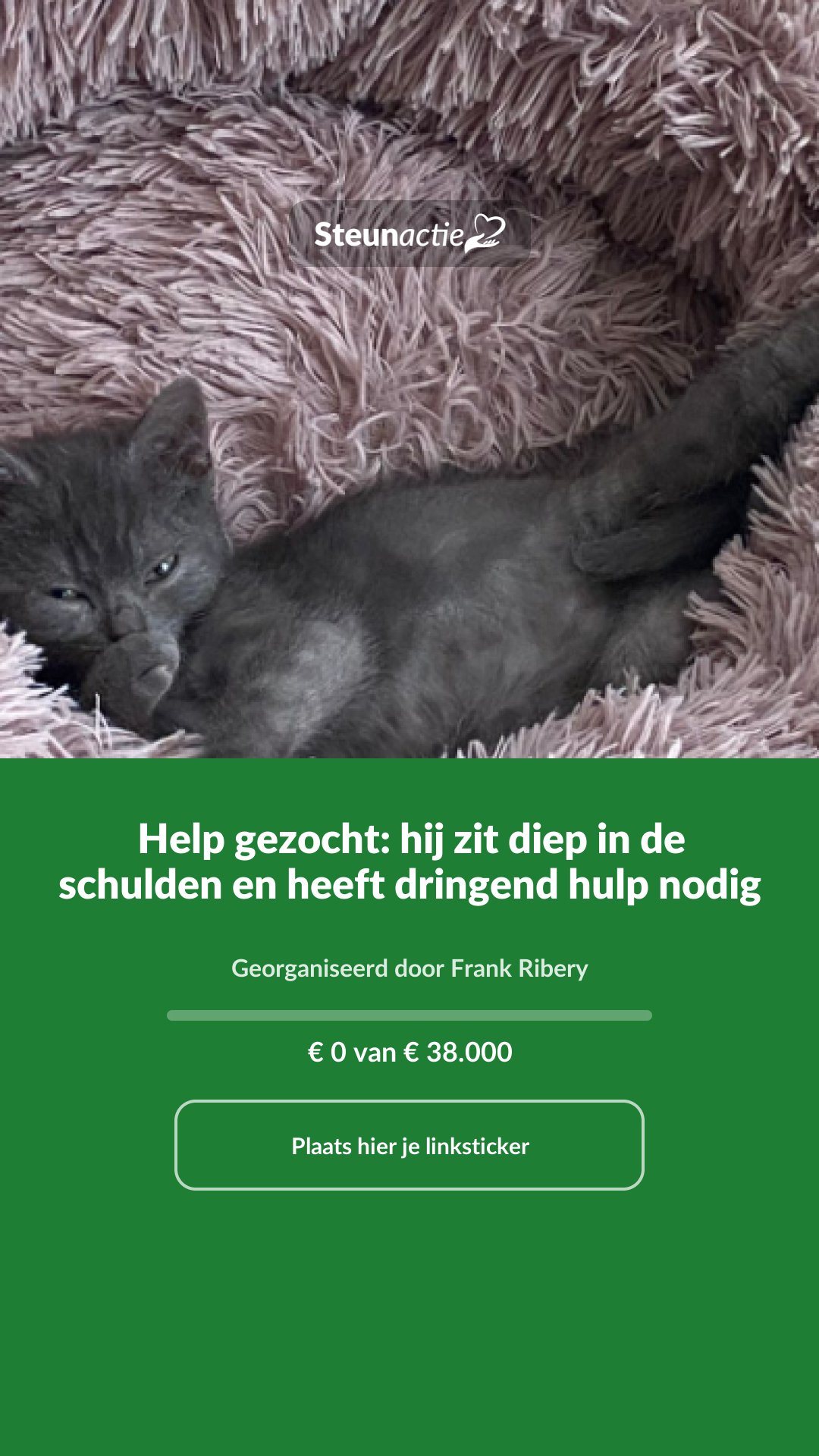 Voorbeeld van de afbeelding