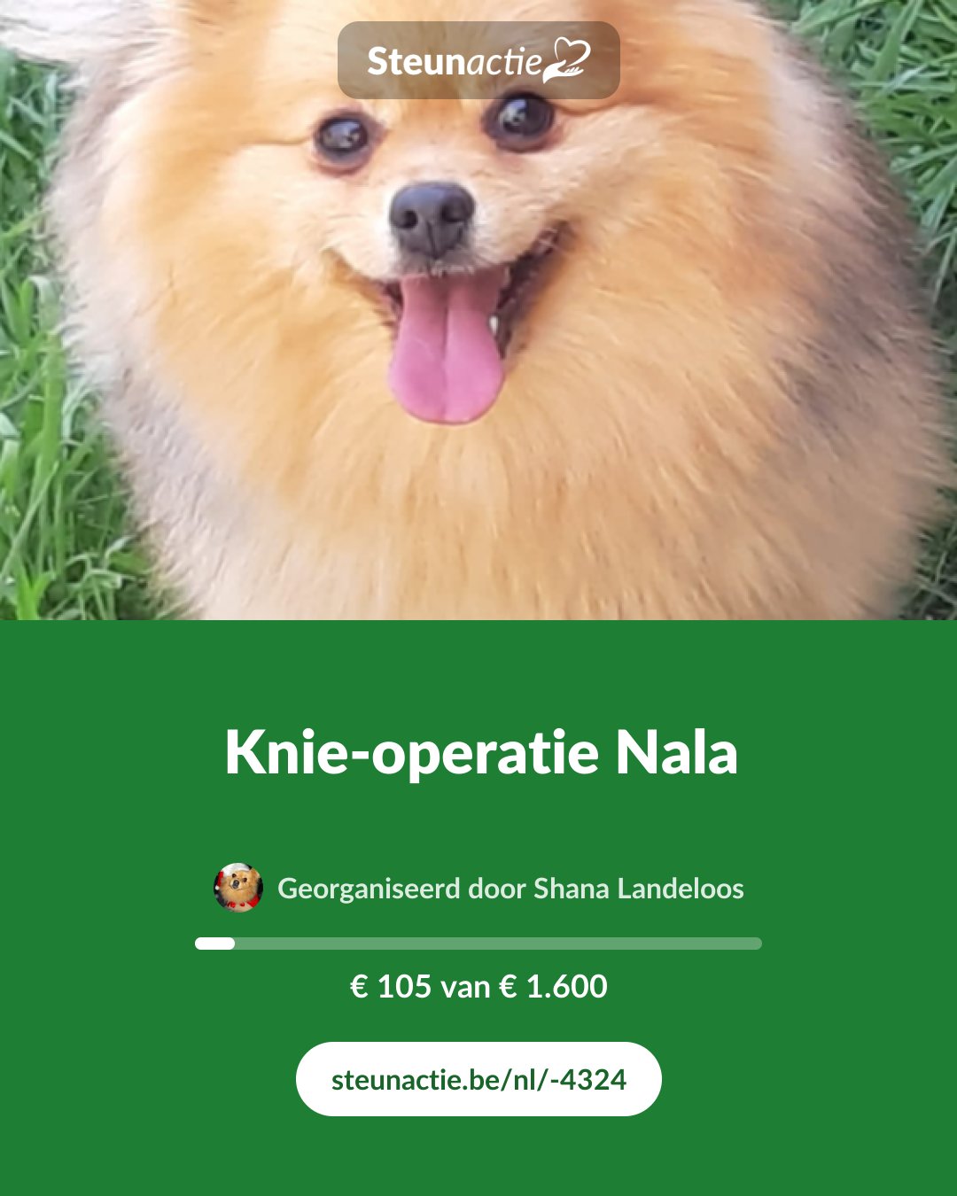 Voorbeeld van de afbeelding