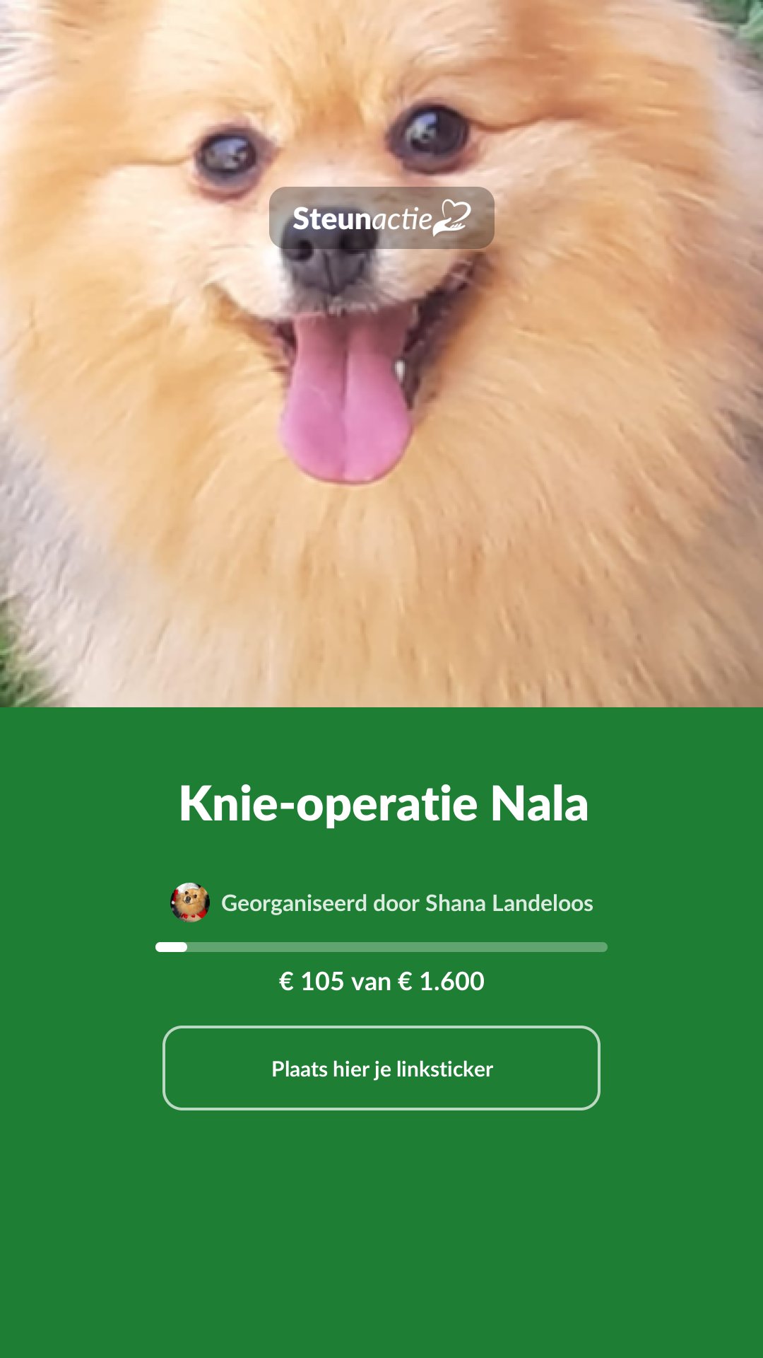 Voorbeeld van de afbeelding