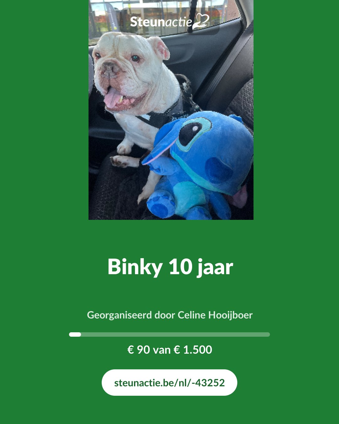 Voorbeeld van de afbeelding