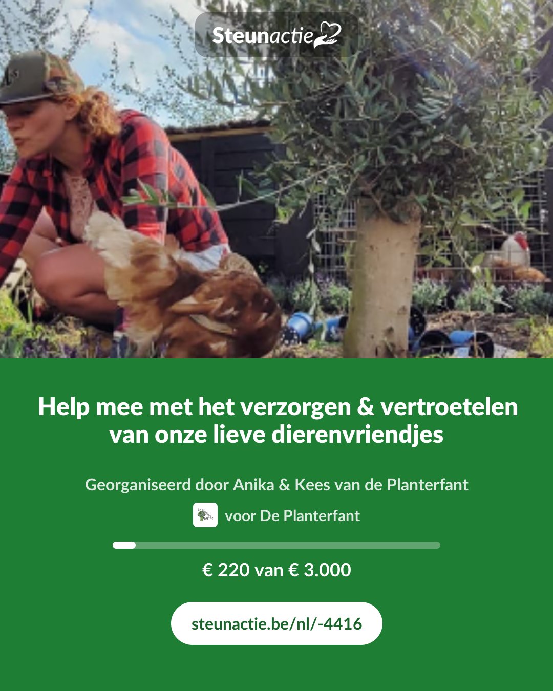 Voorbeeld van de afbeelding