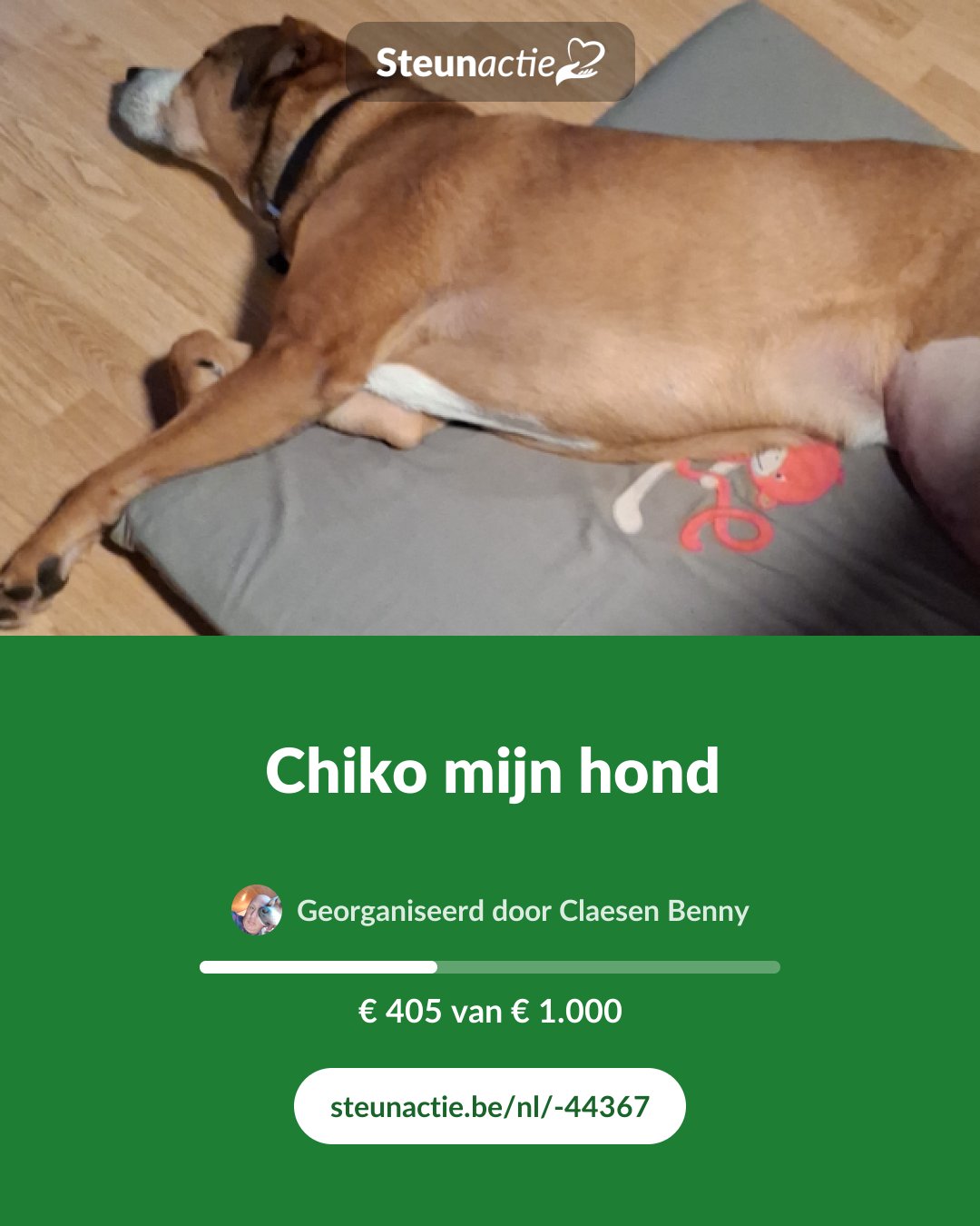 Voorbeeld van de afbeelding