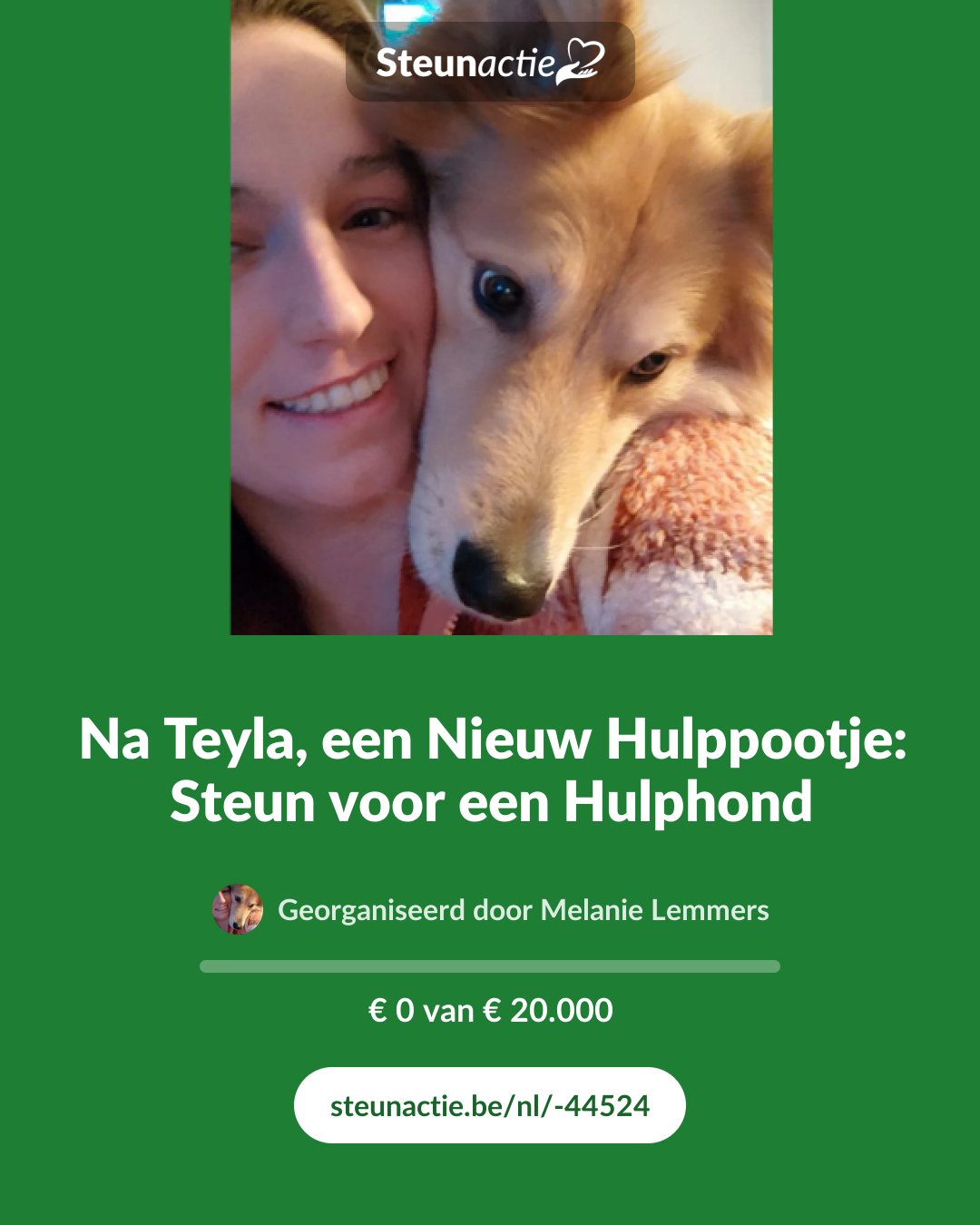 Voorbeeld van de afbeelding