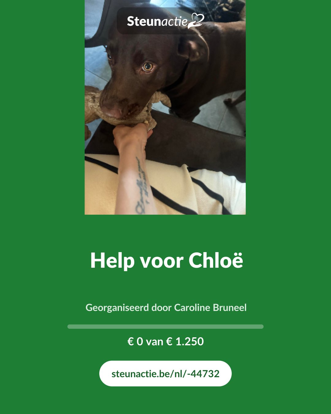 Voorbeeld van de afbeelding