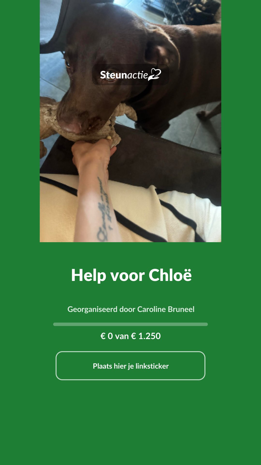 Voorbeeld van de afbeelding
