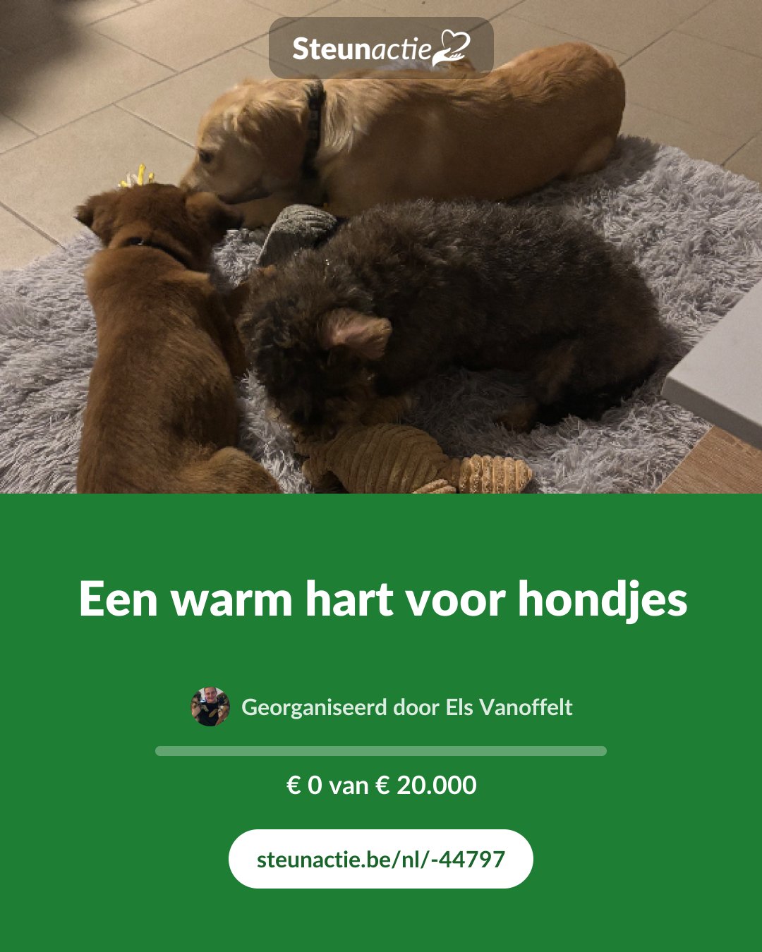 Voorbeeld van de afbeelding
