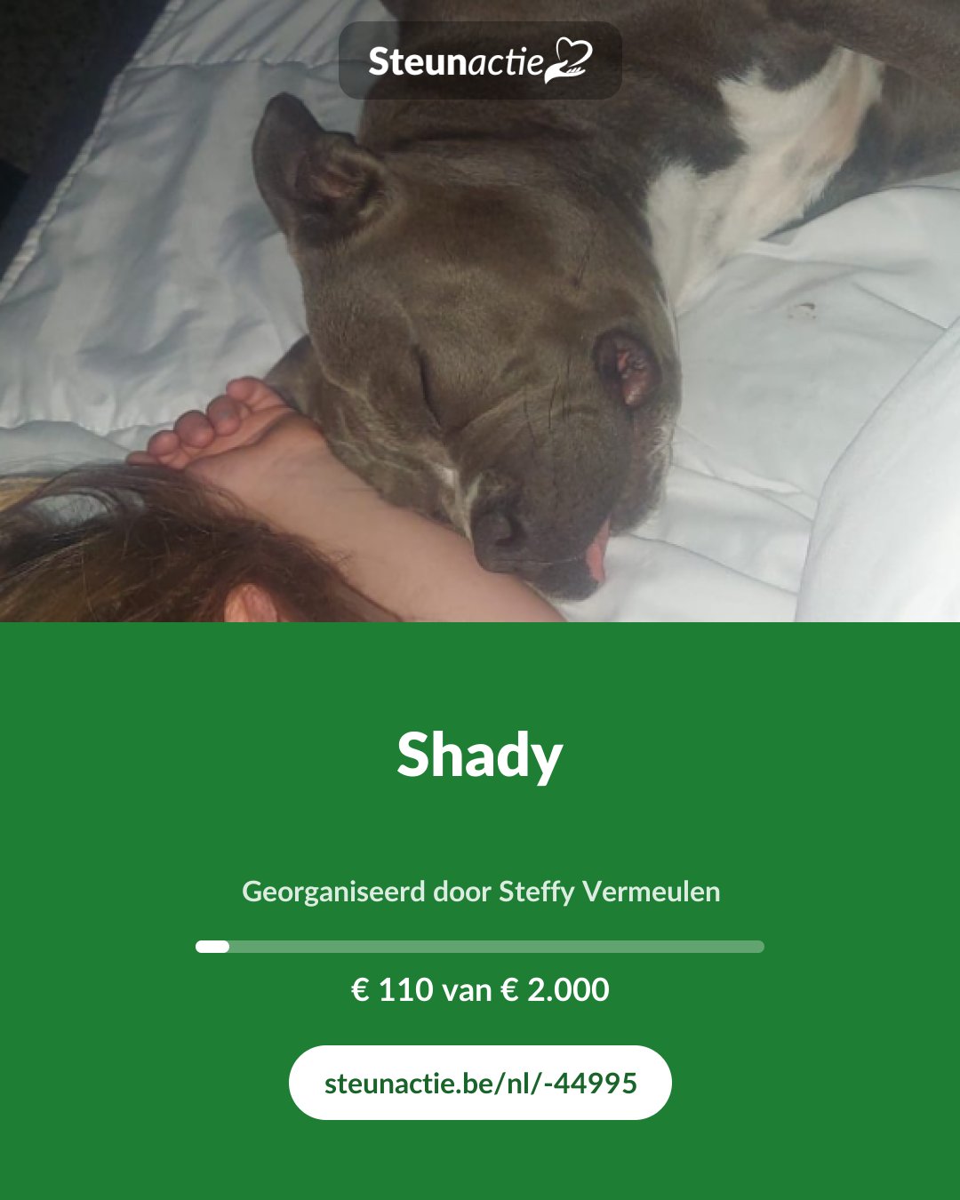 Voorbeeld van de afbeelding