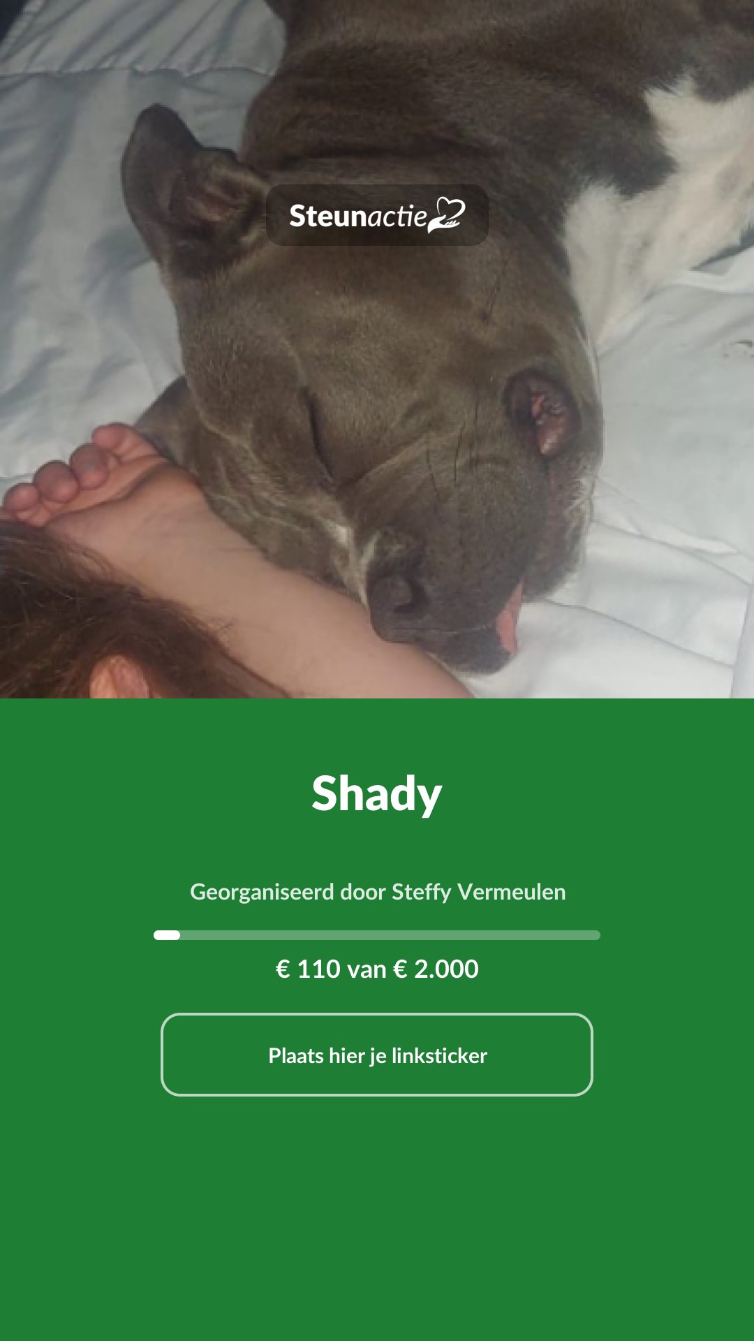 Voorbeeld van de afbeelding
