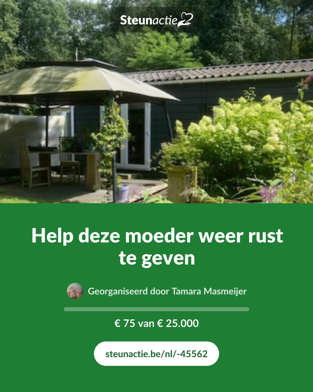 Voorbeeld van de afbeelding