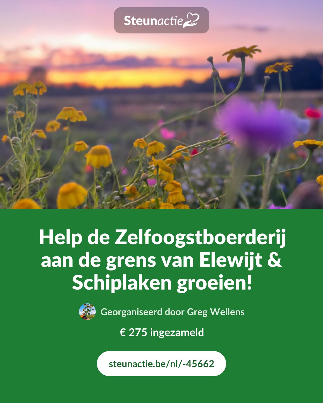 Voorbeeld van de afbeelding