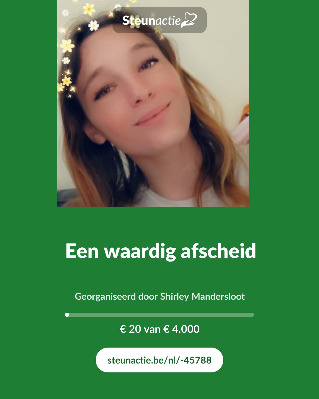 Voorbeeld van de afbeelding