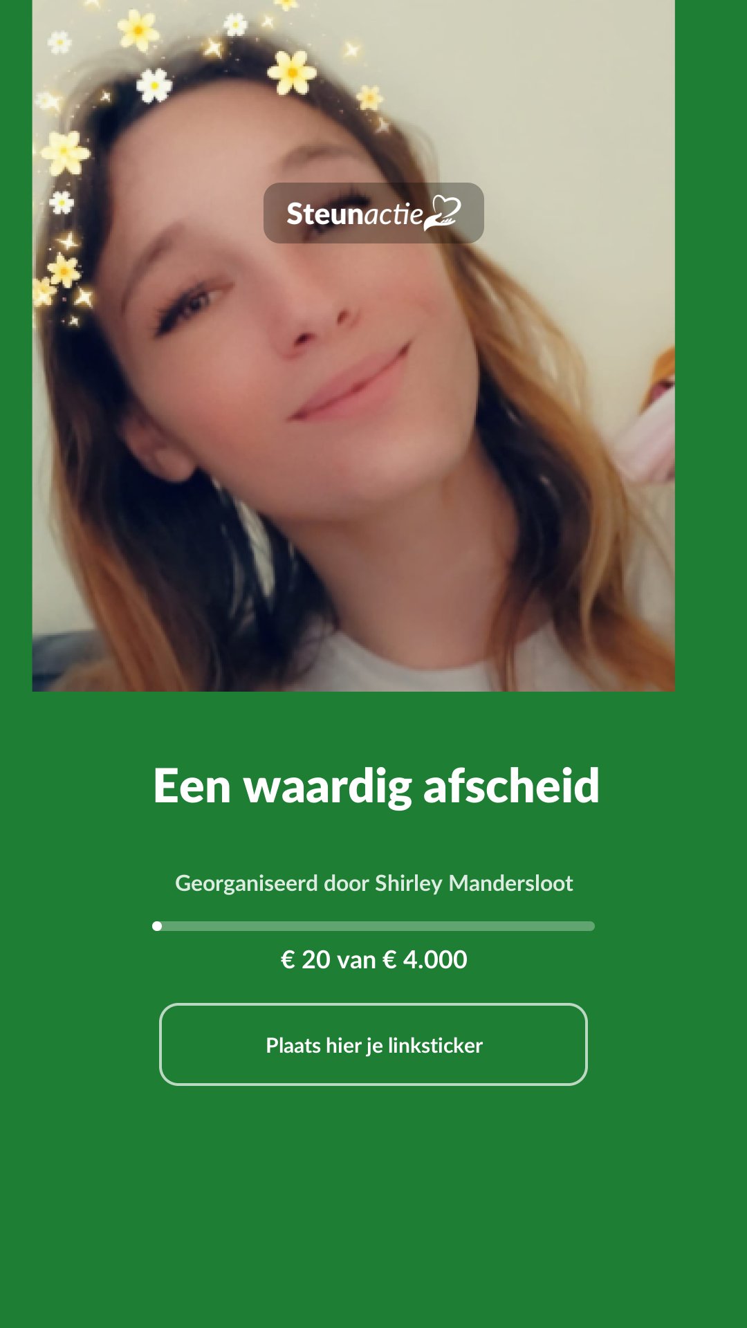 Voorbeeld van de afbeelding