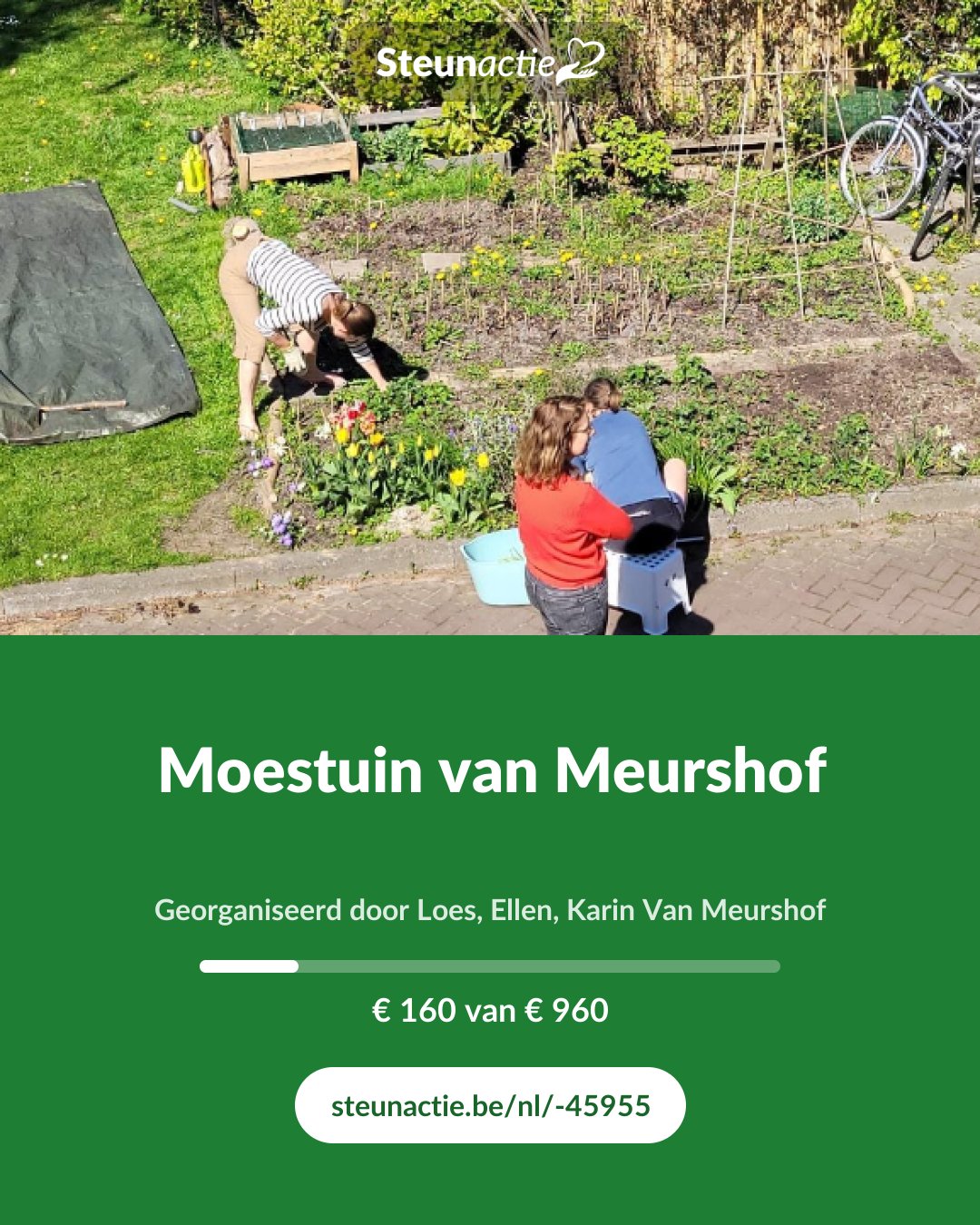 Voorbeeld van de afbeelding