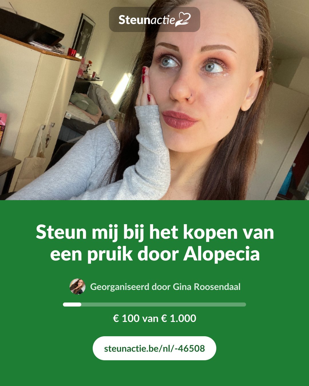 Voorbeeld van de afbeelding