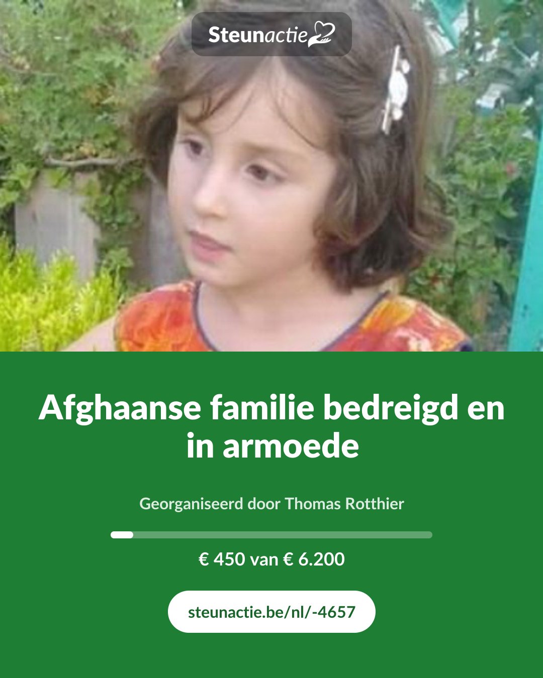 Voorbeeld van de afbeelding