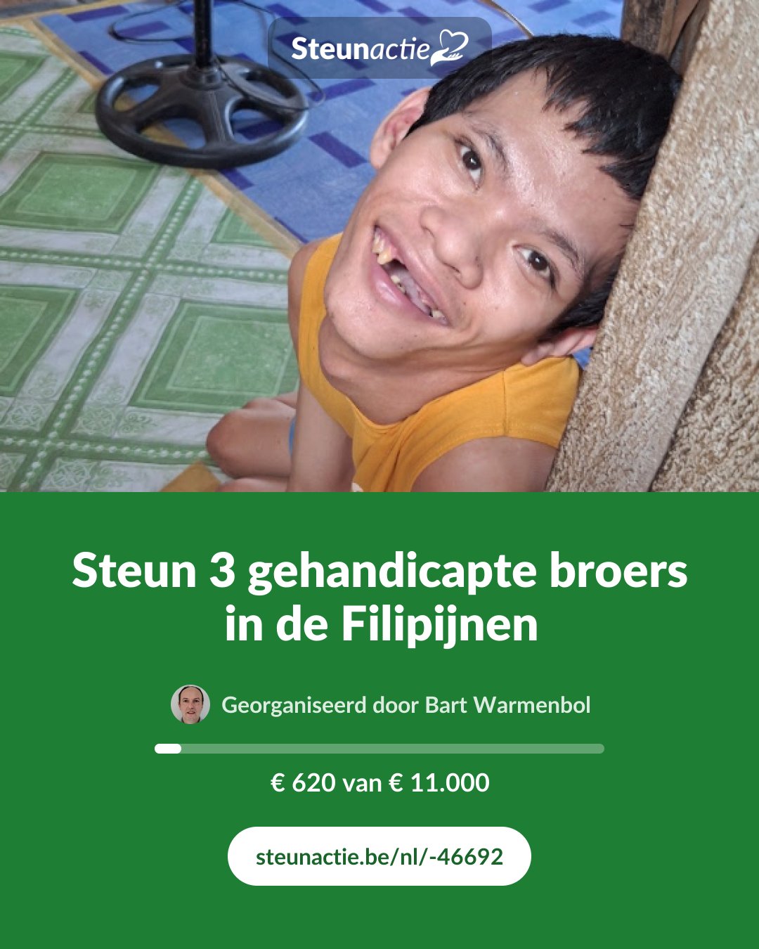 Voorbeeld van de afbeelding