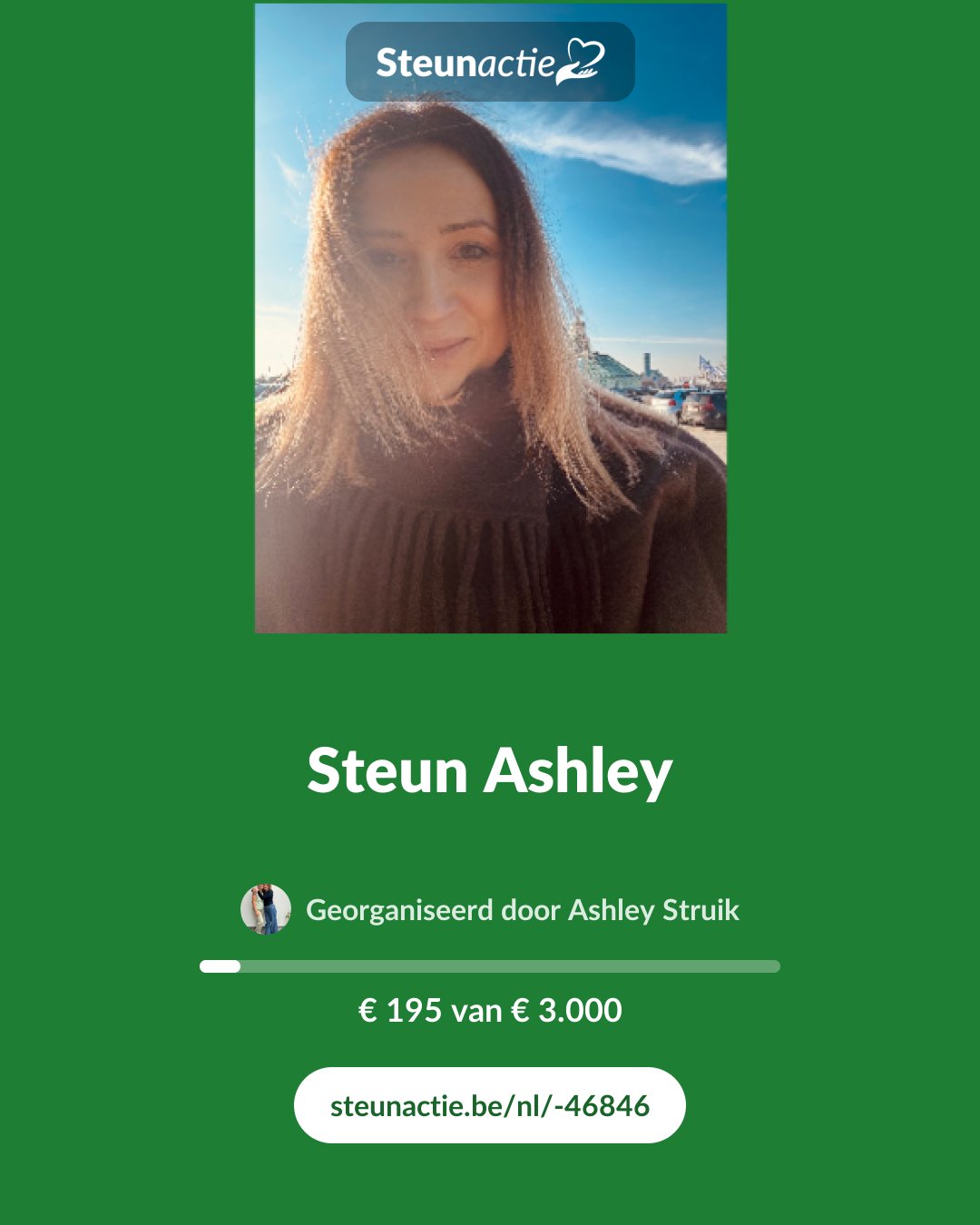 Voorbeeld van de afbeelding