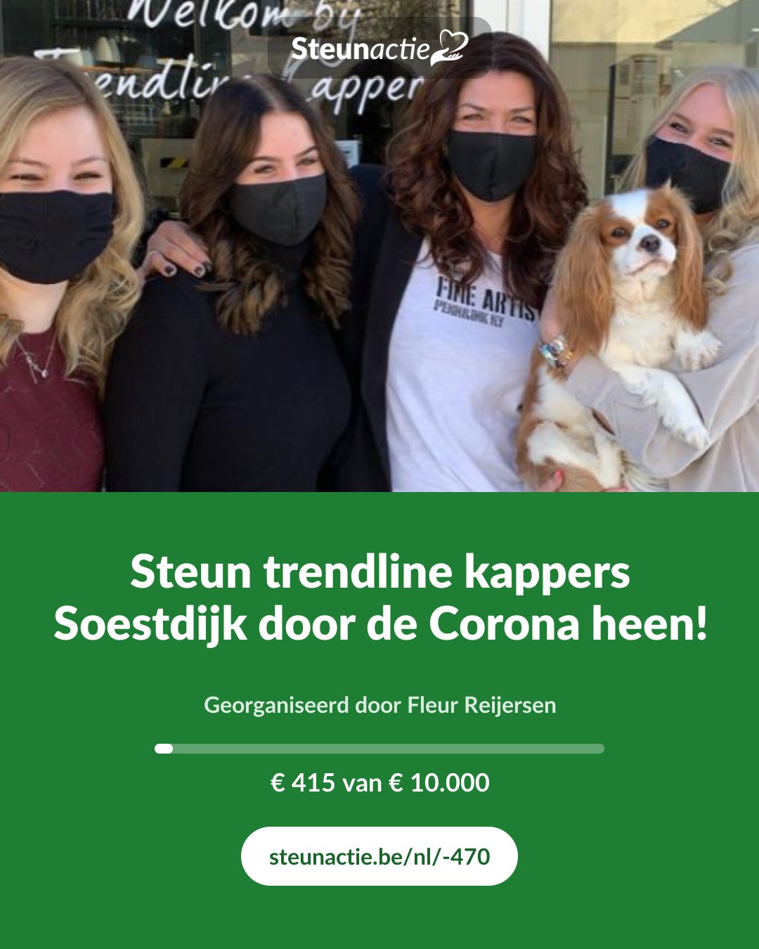 Voorbeeld van de afbeelding