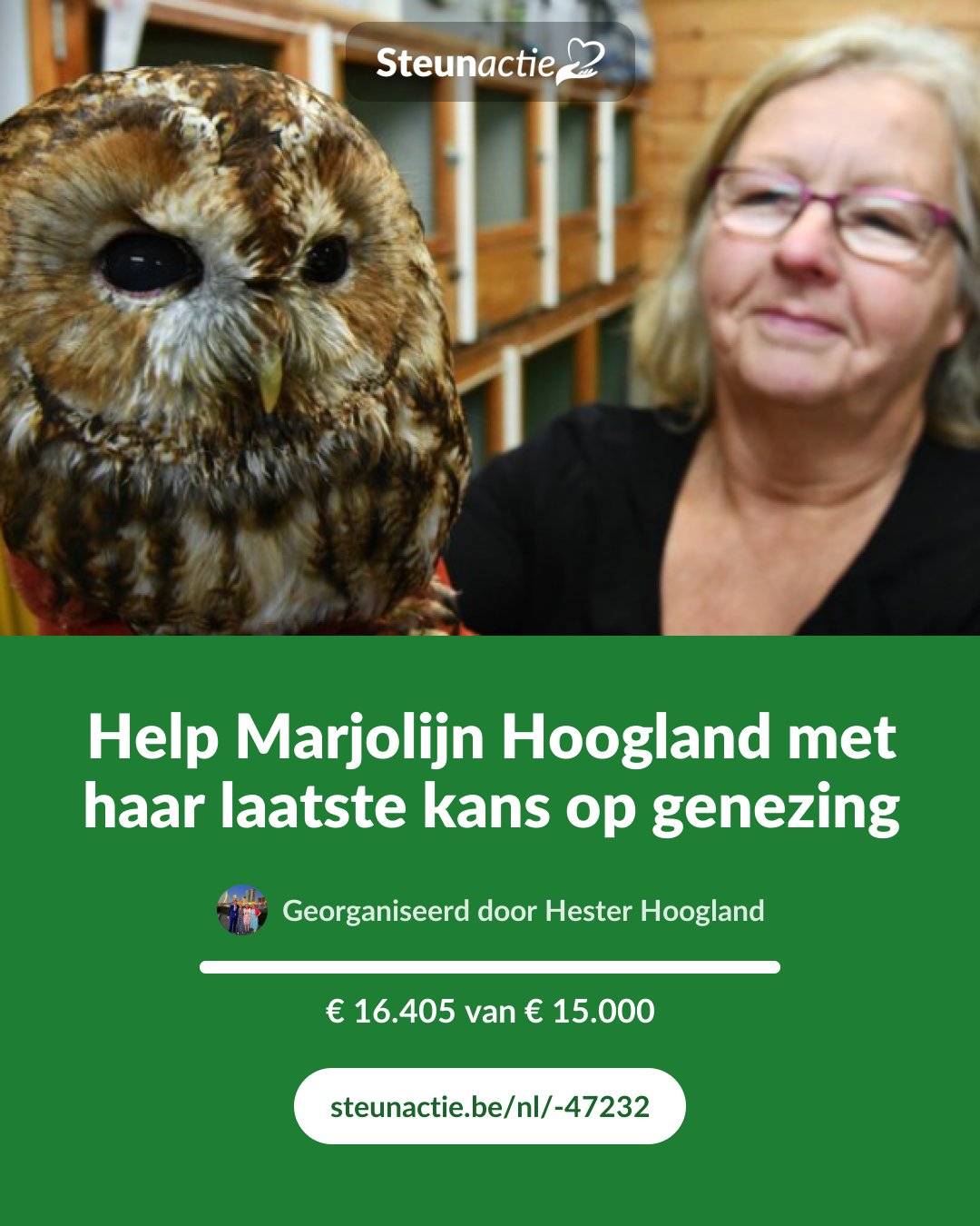 Voorbeeld van de afbeelding