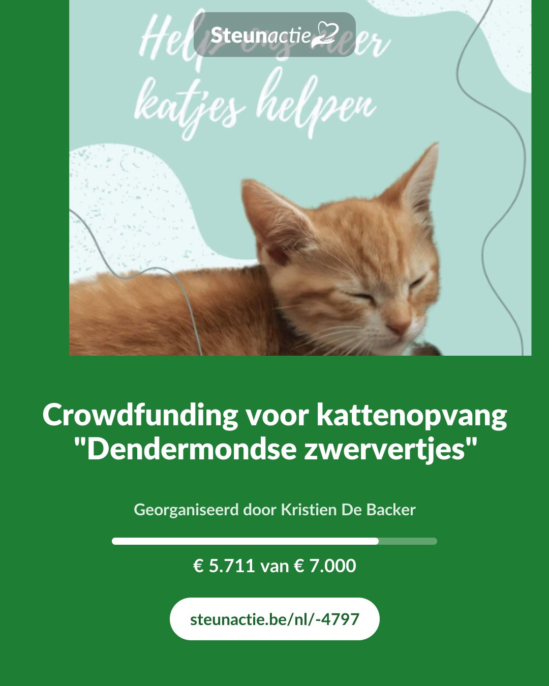 Voorbeeld van de afbeelding