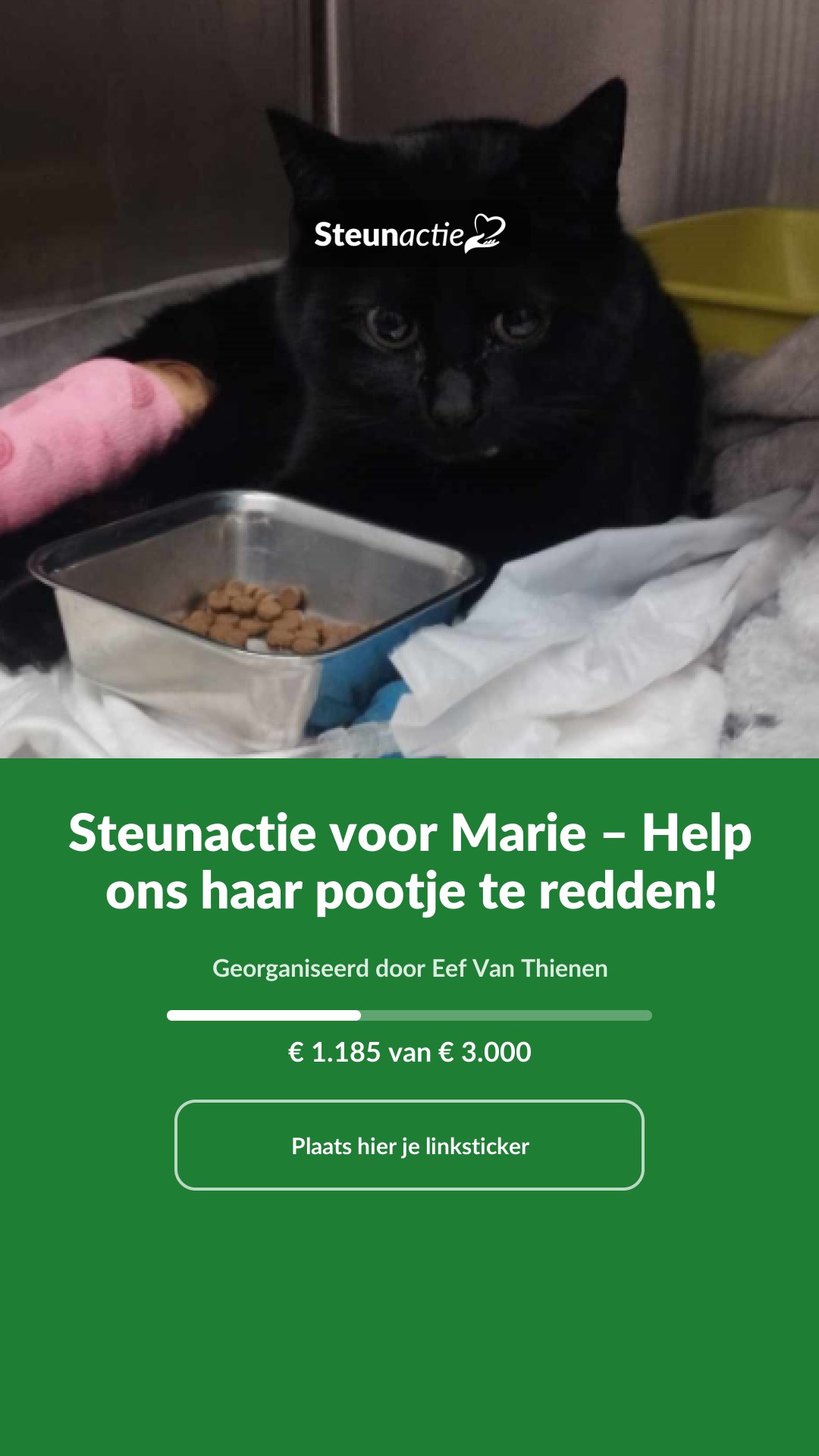 Voorbeeld van de afbeelding