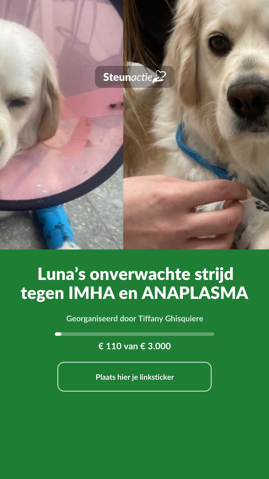Voorbeeld van de afbeelding