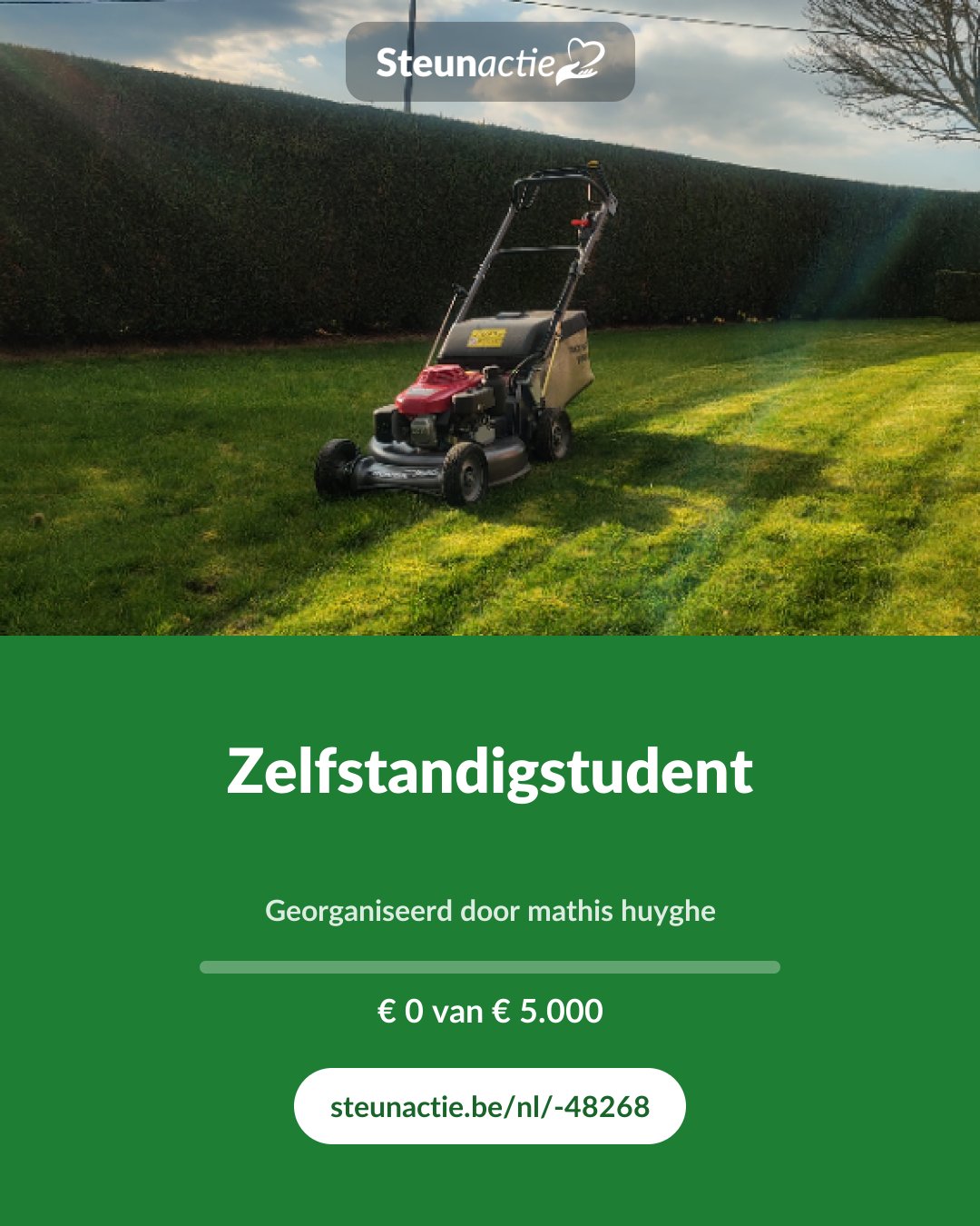 Voorbeeld van de afbeelding