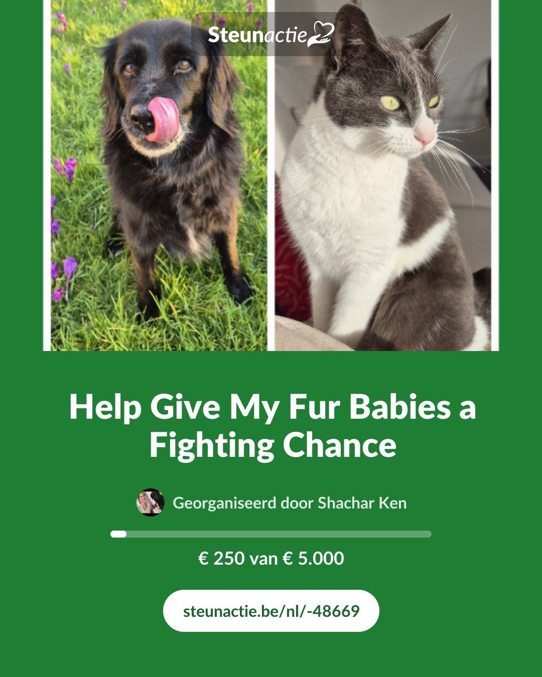 Voorbeeld van de afbeelding