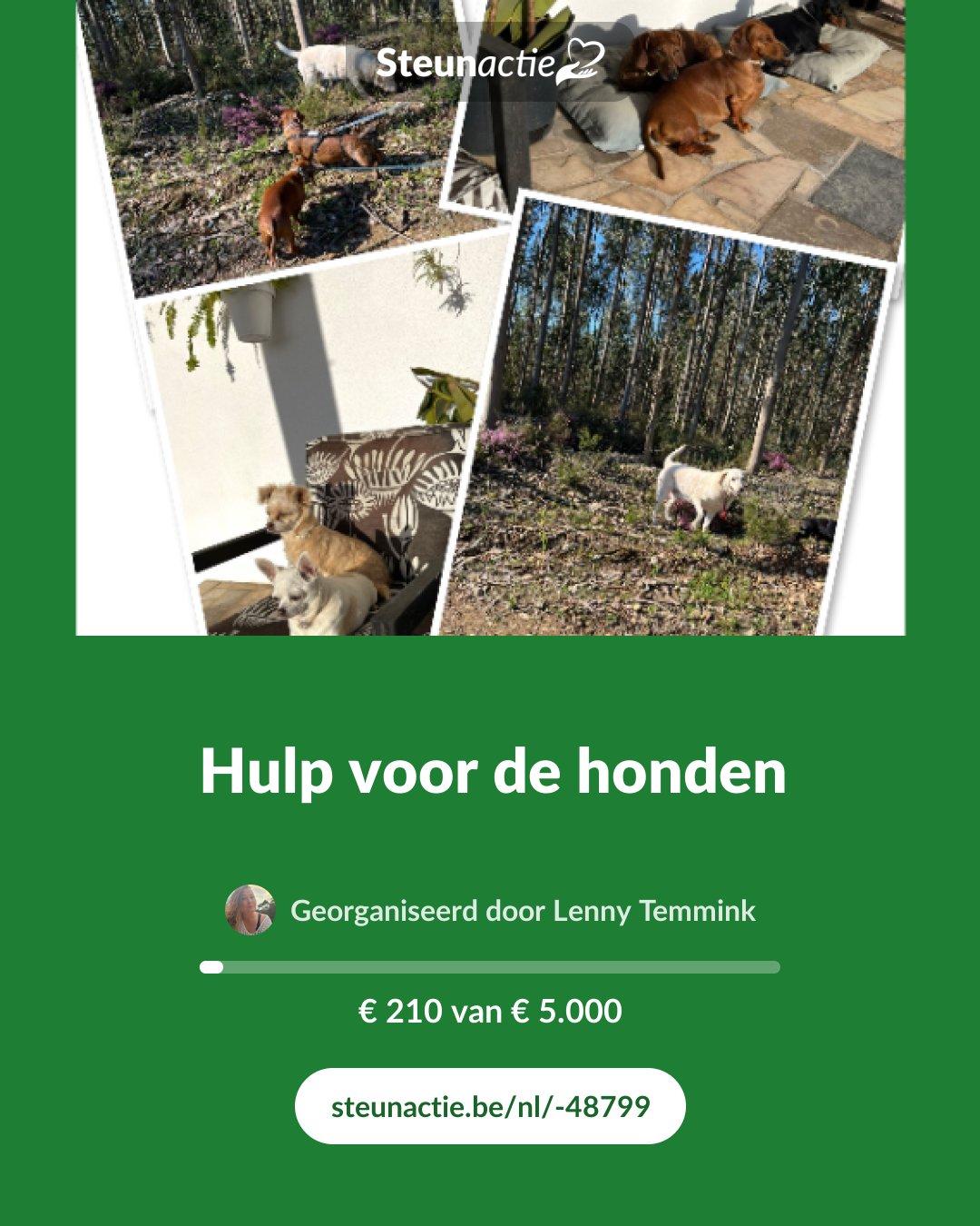 Voorbeeld van de afbeelding