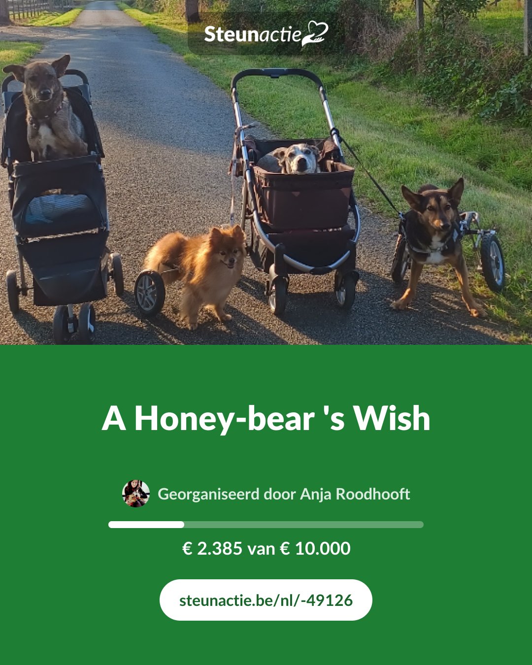 Voorbeeld van de afbeelding