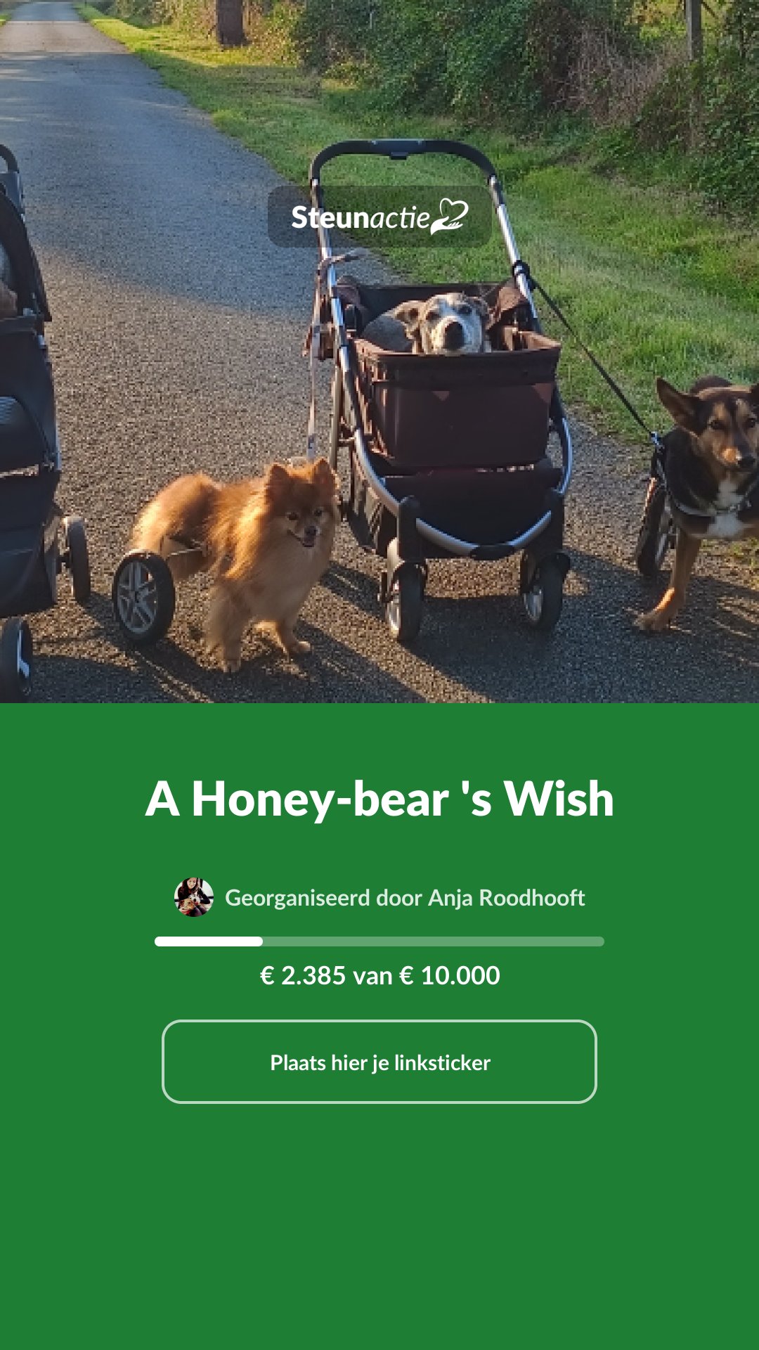 Voorbeeld van de afbeelding