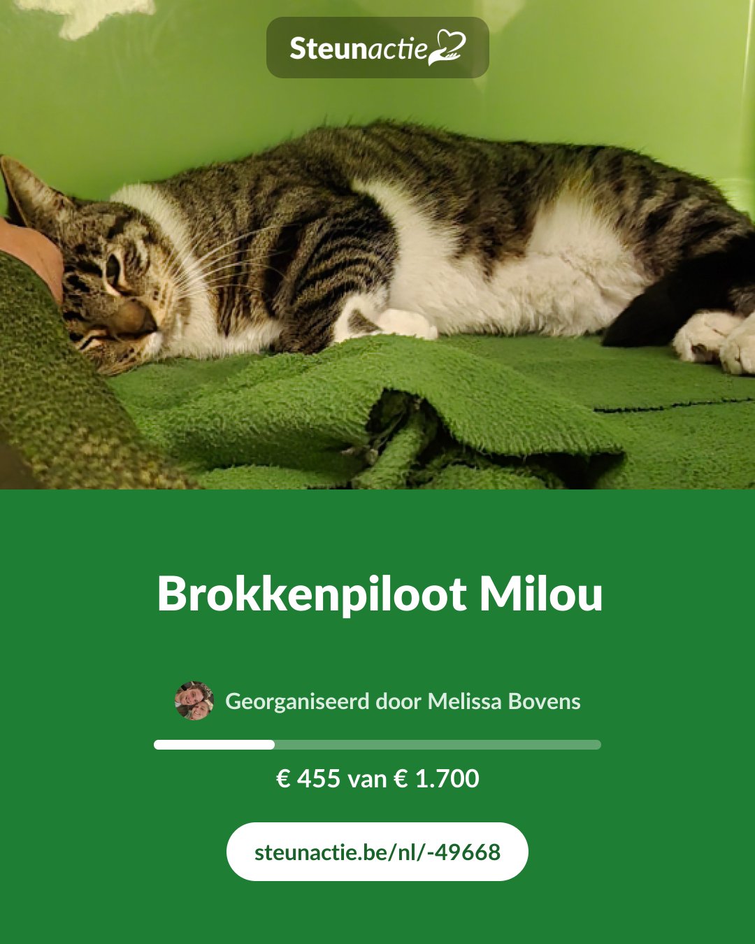 Voorbeeld van de afbeelding