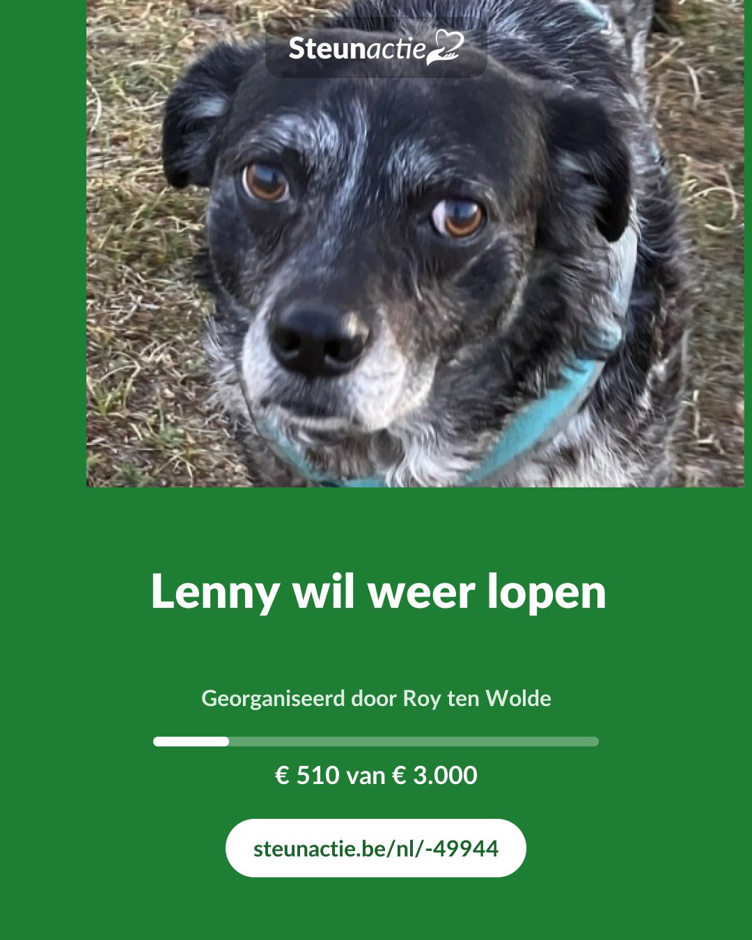 Voorbeeld van de afbeelding