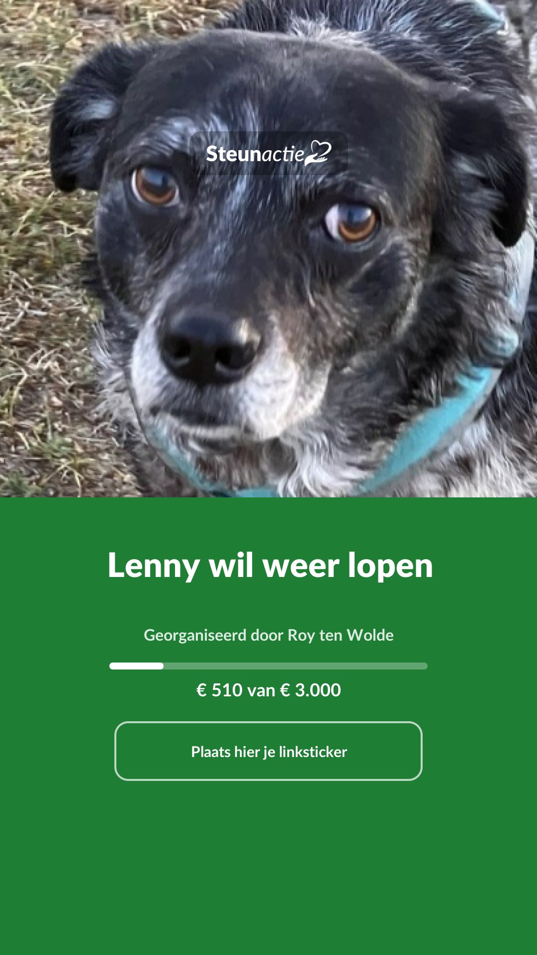 Voorbeeld van de afbeelding