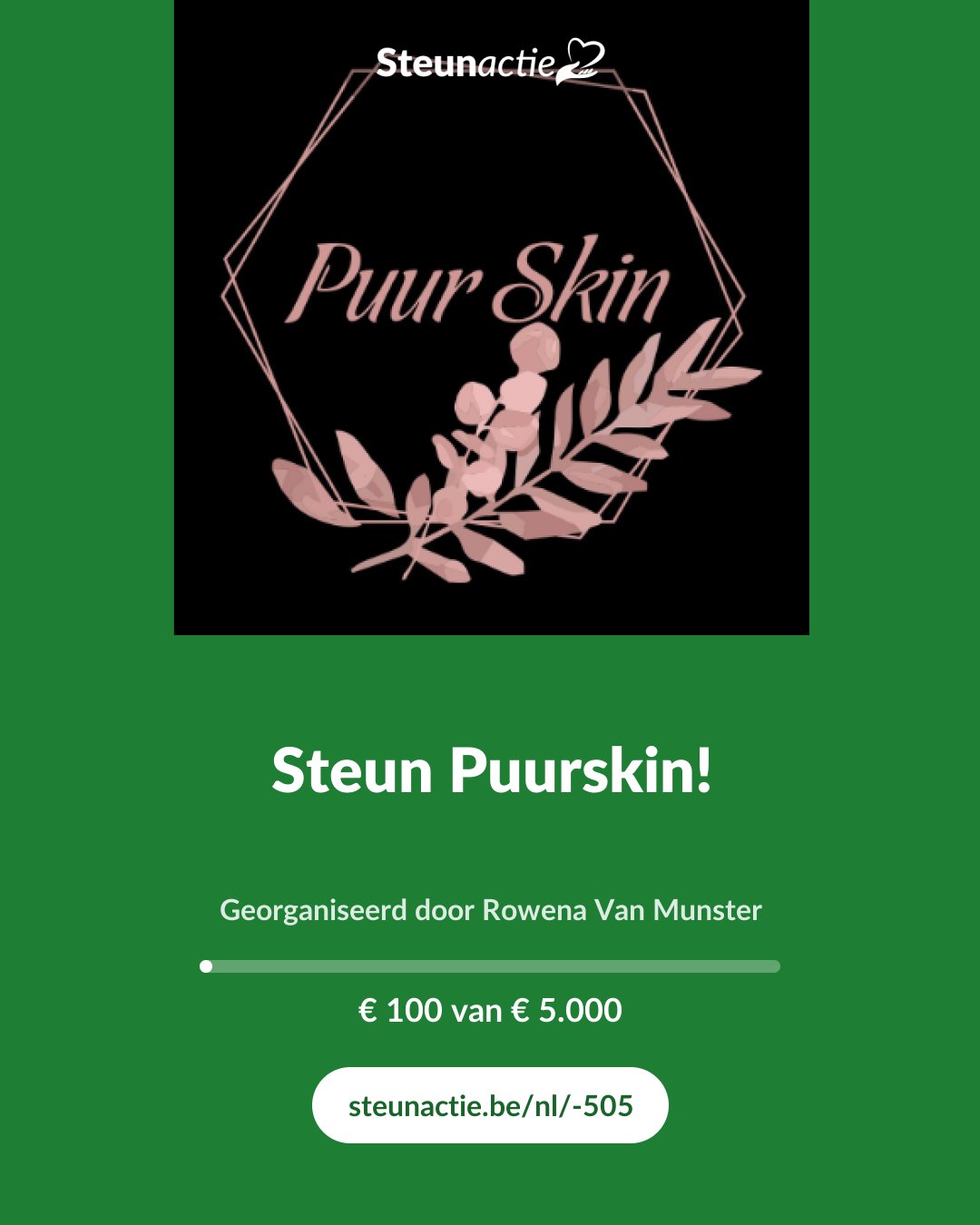 Voorbeeld van de afbeelding