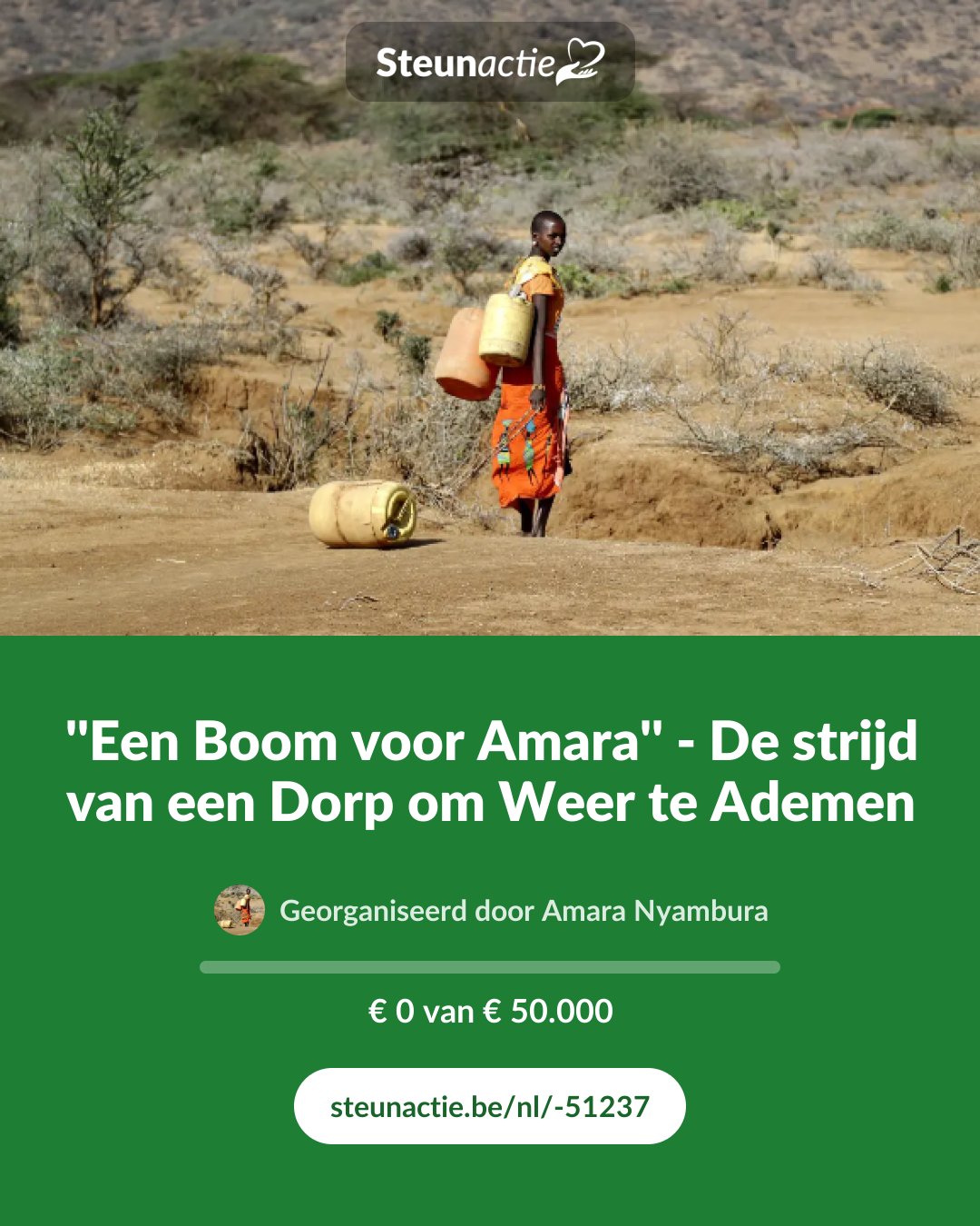Voorbeeld van de afbeelding