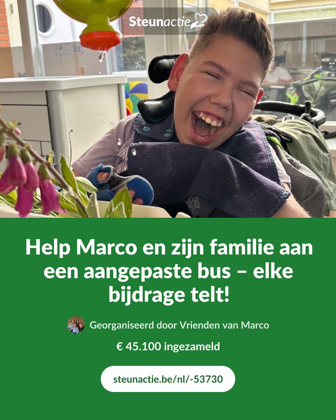 Voorbeeld van de afbeelding